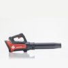 Power Flex LB 4250 akkus lombfújó