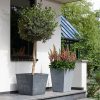 Beton szögletes műanyag virágcserép 48 cm világosszürke
