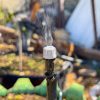 Waterly kerti öntözőrendszer