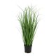 Poa fű műnövény, zöld 68 cm