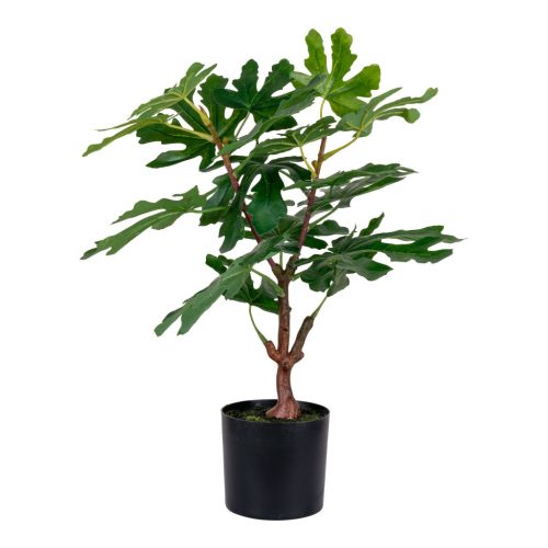 Fügefa műnövény 60 cm