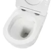 Delano fali rimless WC soft-close ülőkével