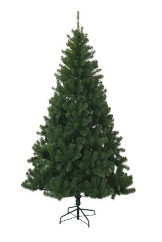 Nordmann king műfenyő 90 cm