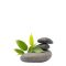 Wellness & spa