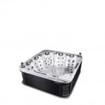 Wellis swim spa