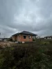 Syraktile Kft