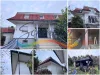 Schindler Festő