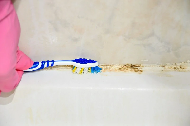Természetes megoldások a fürdőszobai penész ellen