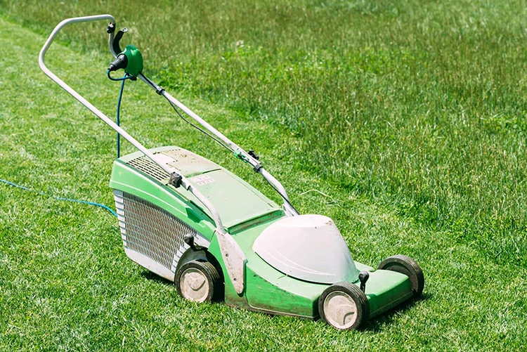 Electric lawn mower on