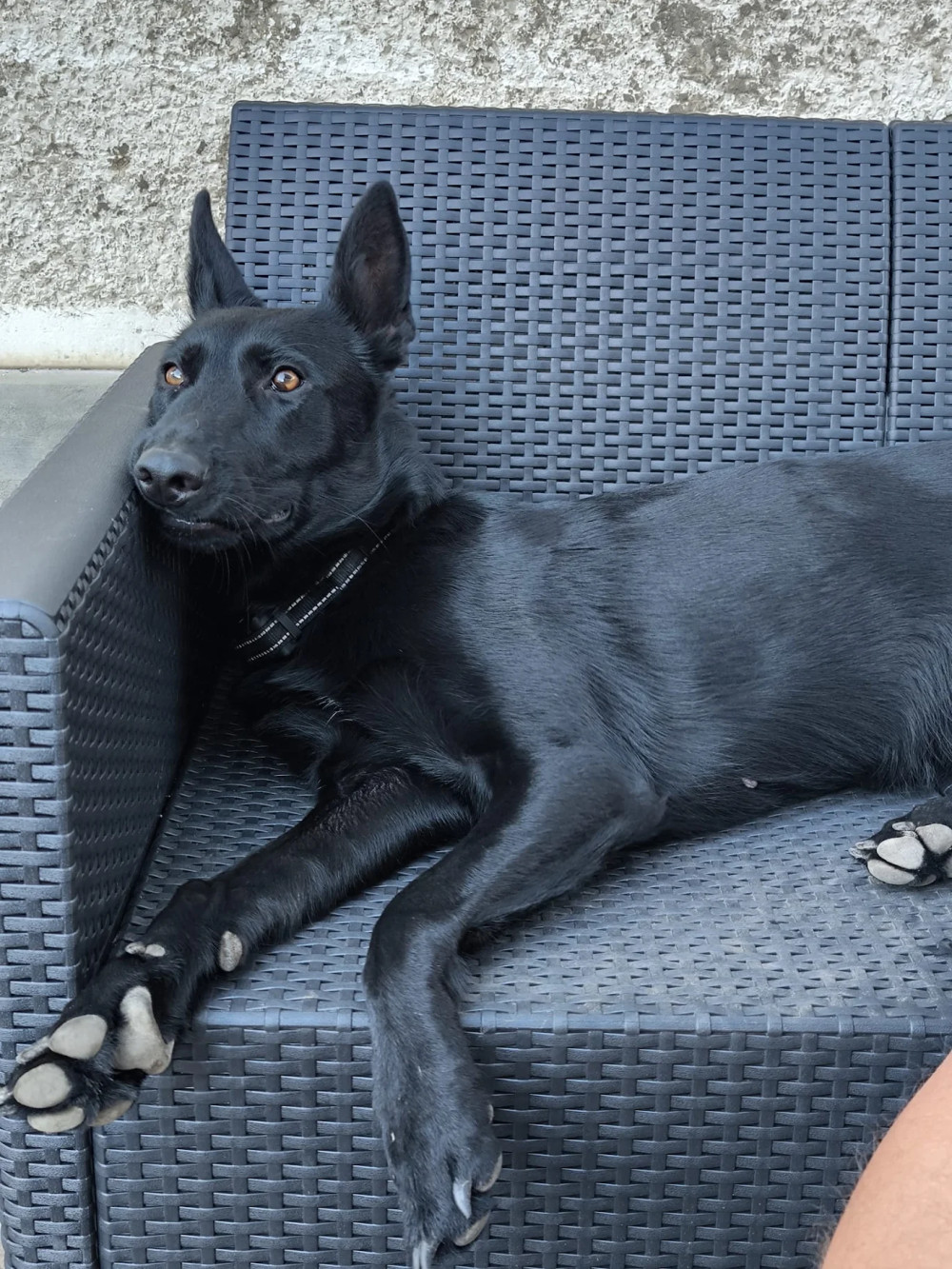 Claire 3 üléses műrattan kerti kanapé
