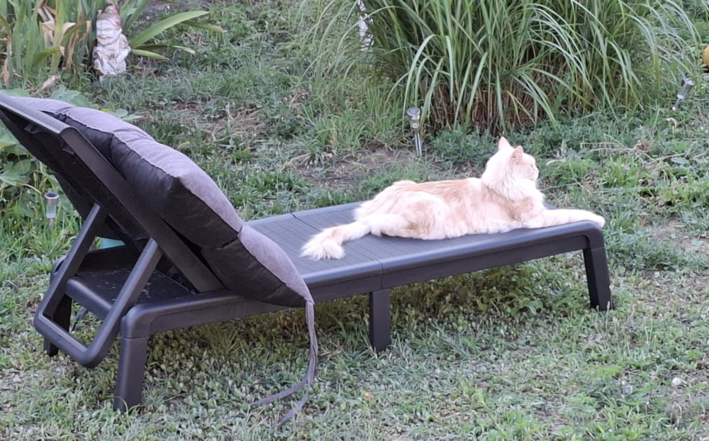 Mallorca műanyag napozóágy
