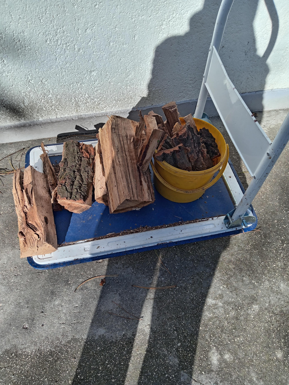 Szállító raktári kézikocsi 150 Kg
