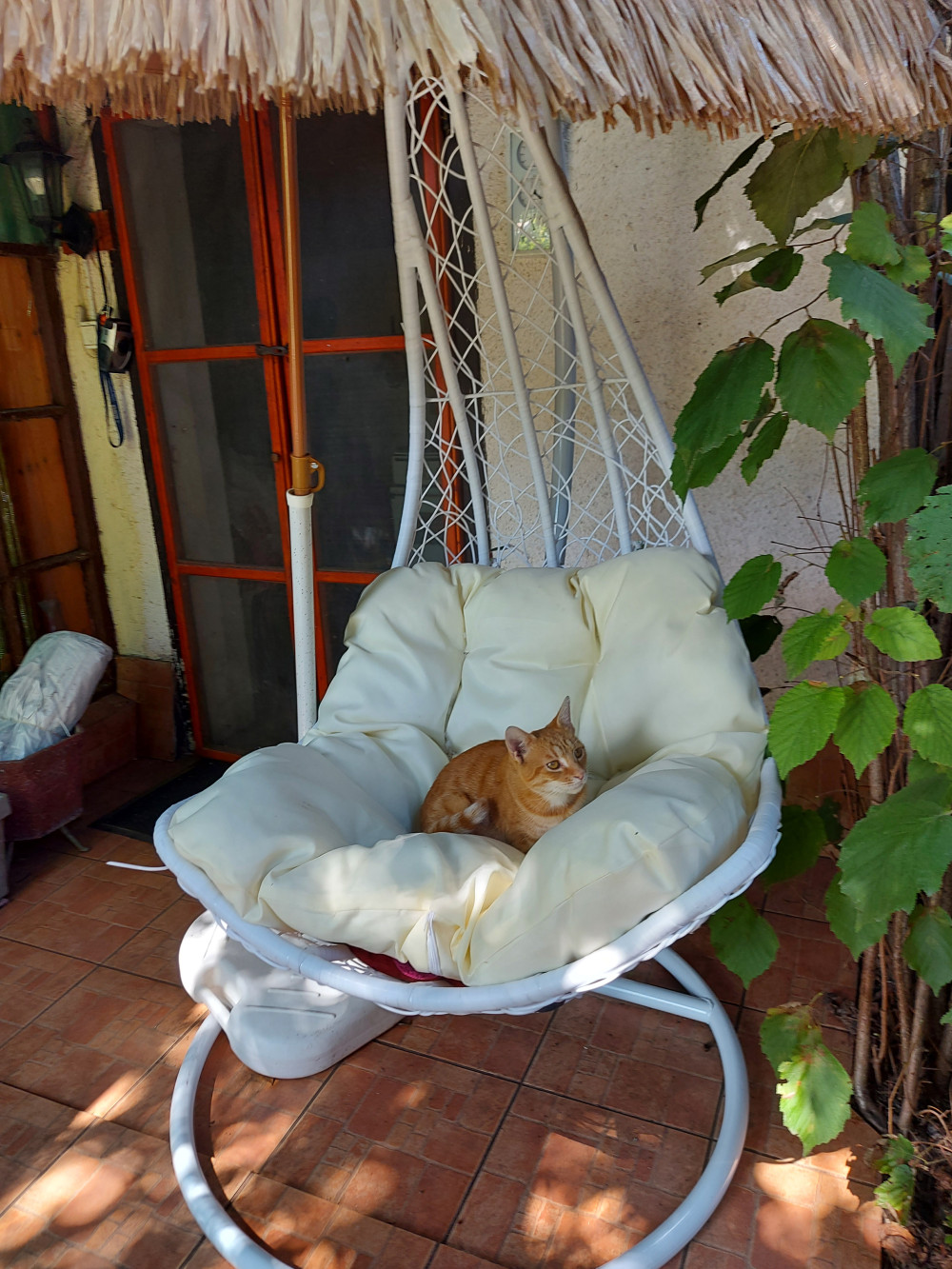 Natal Easy kerti függőfotel fehér rögzítő készlettel
