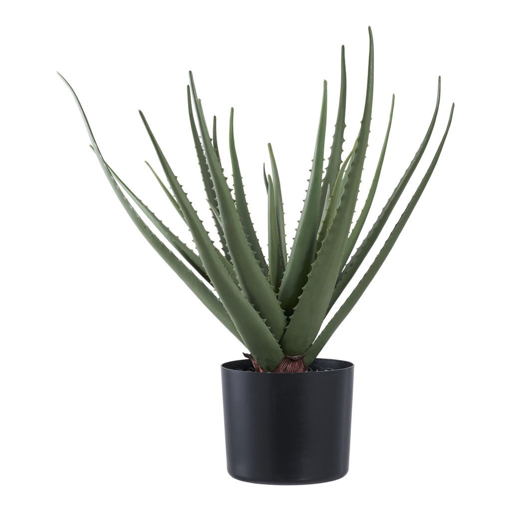 Image of Aloe Vera műnövény, zöld 51 cm